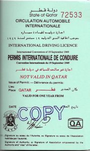 qatar-idp